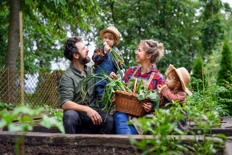 How Backyard Gardening Improves Your Mental Health