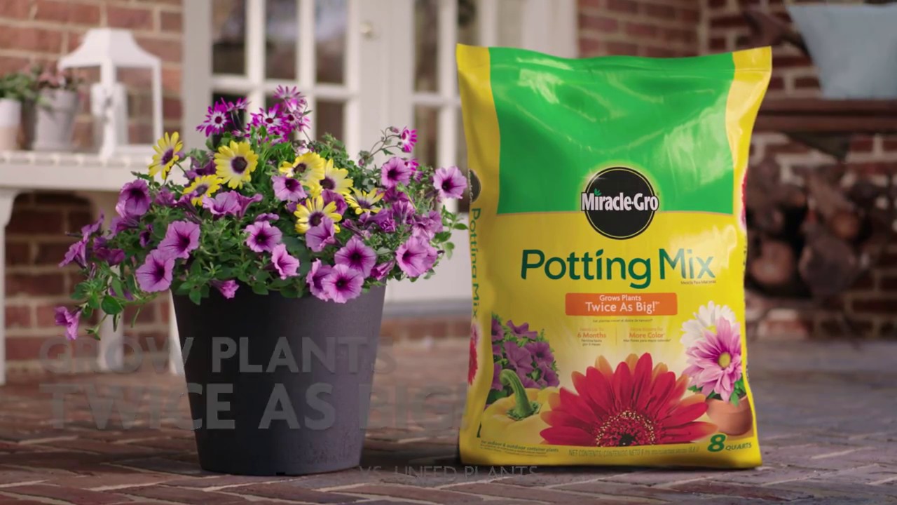 Container Gardening with Miracle-Gro Garden Soil