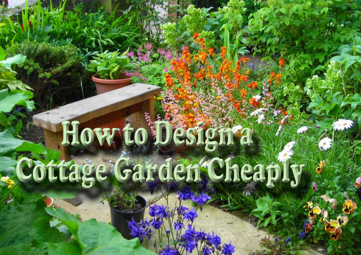 Cottage Garden Design on a Budget