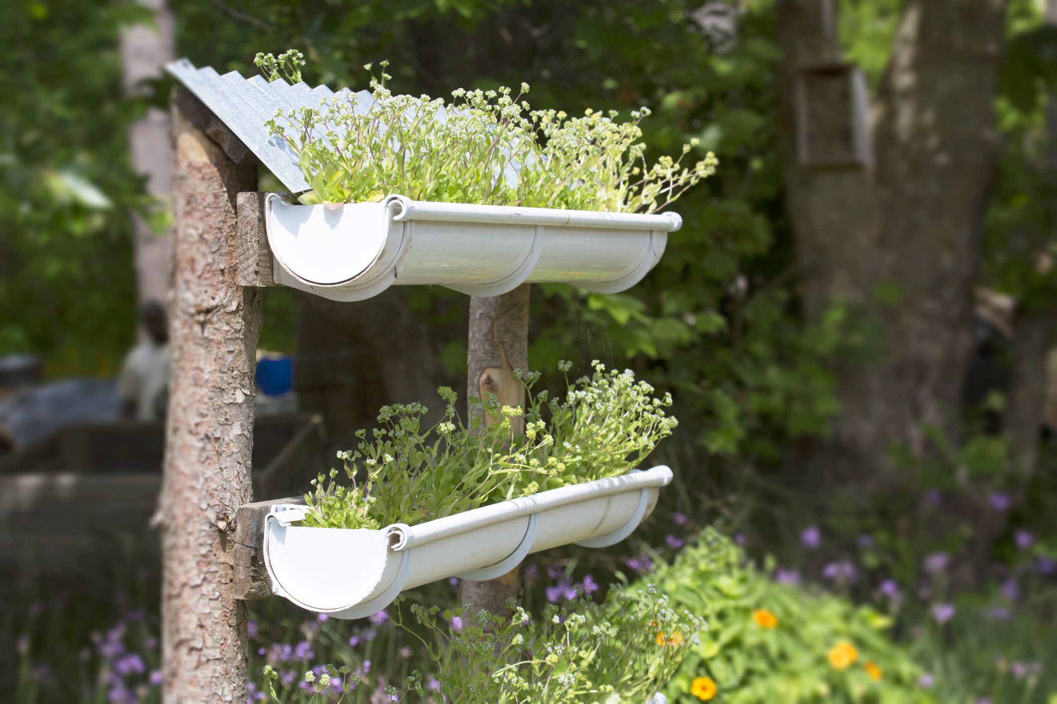Designing a Downspout Garden That Fits Your Style