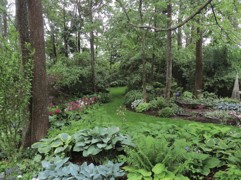Garden Edging Ideas for Woodland Gardens