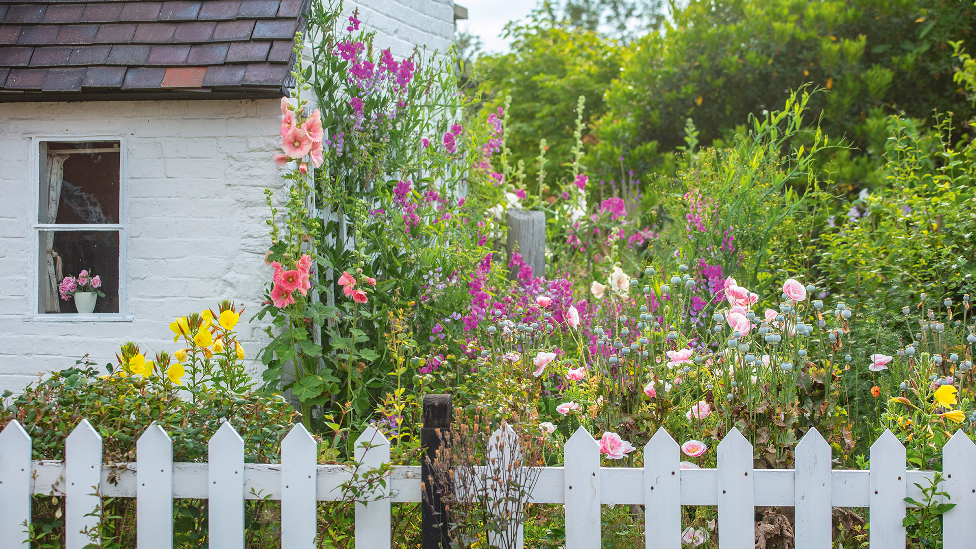 How to Choose the Perfect Cottage Garden Fence Color for Your Home?