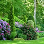 How to Choose the Right Plants for a Mixed Border Garden?