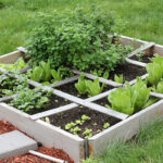 How to Make a Simple but Effective Rabbit Garden?