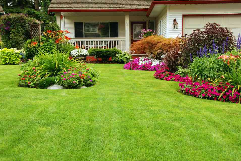 Creating a Low-Maintenance Landscape for Your Lawn
