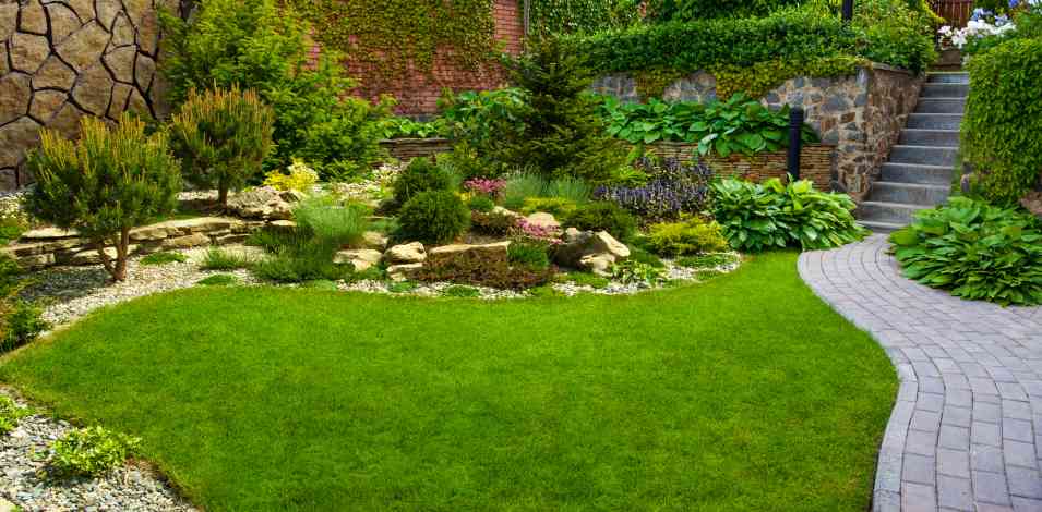 Easy Lawn Landscaping Tips for the Busy Homeowner