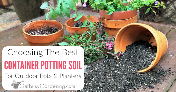 The Basics of Container Gardening Composting
