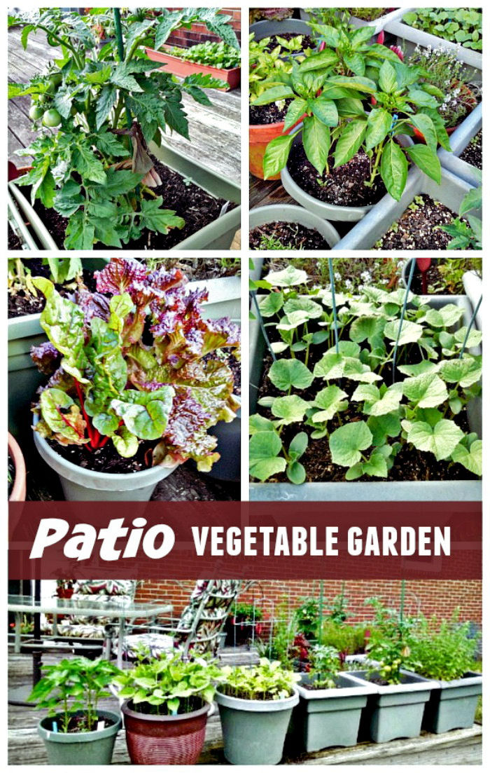 Tips for Watering and Caring for Your Deck Vegetable Garden