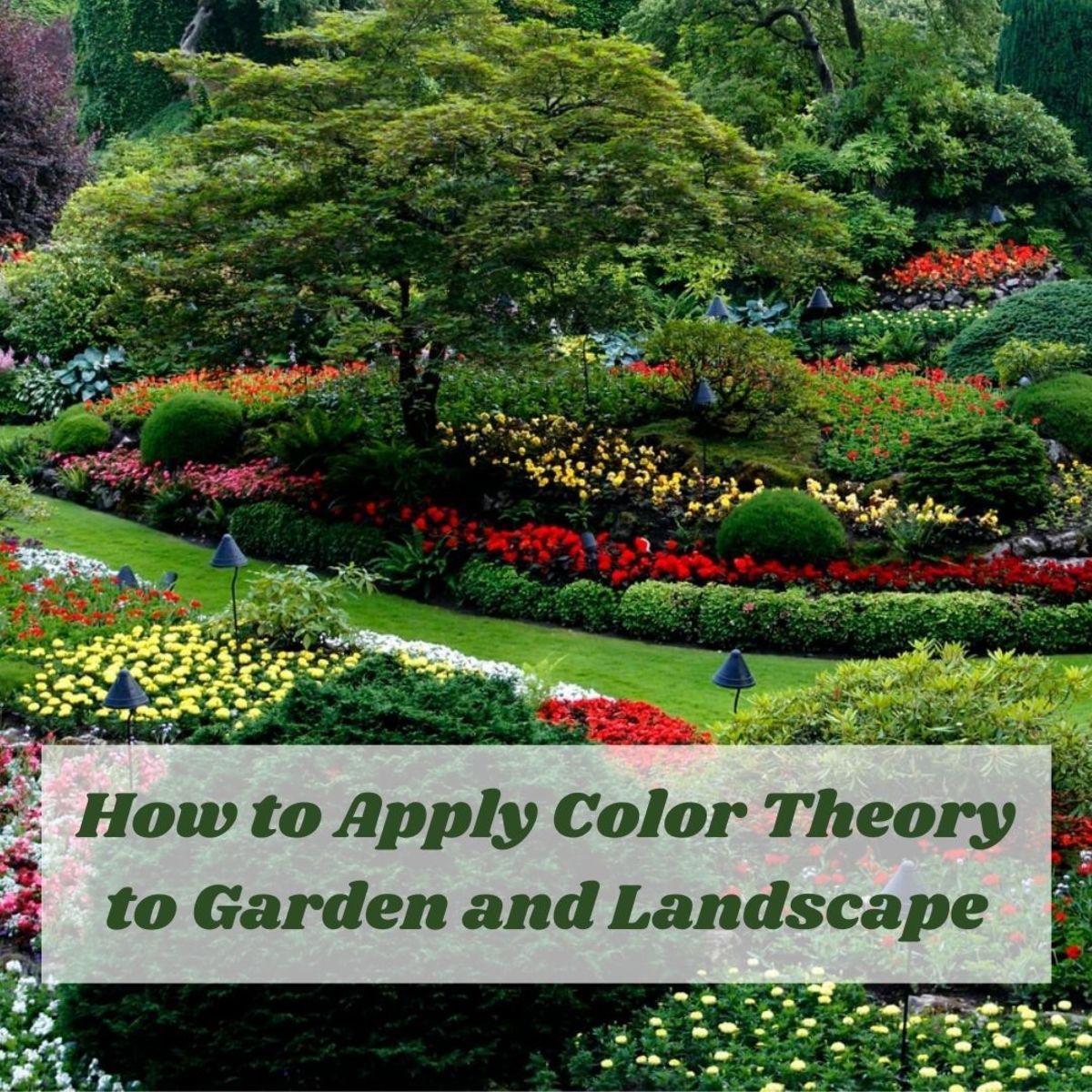 Ways to Use Color in the Garden to Create Different Effects