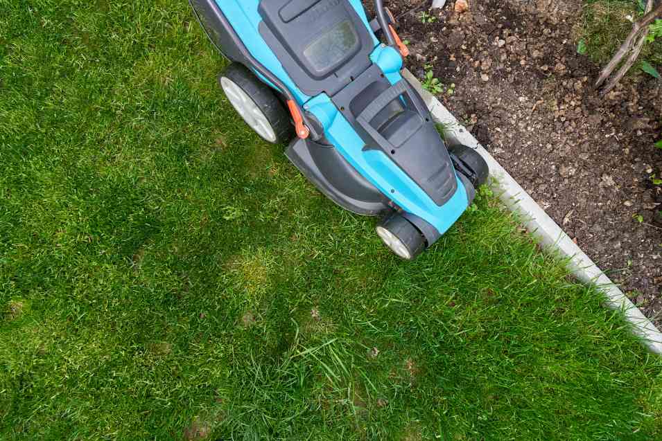 cutting edge lawn care 1