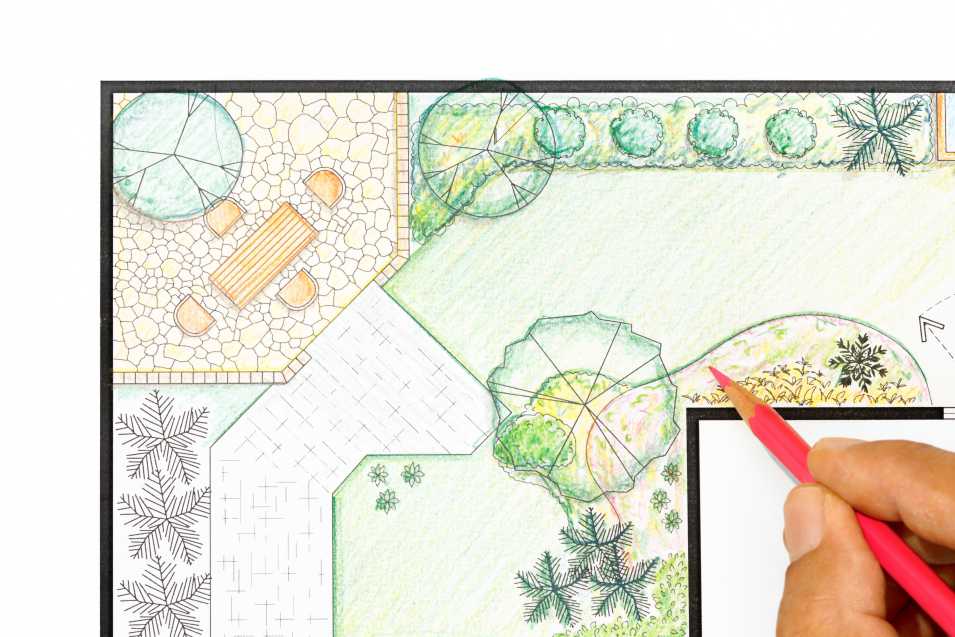 Drawing a Garden Plan and Simple Landscape Design